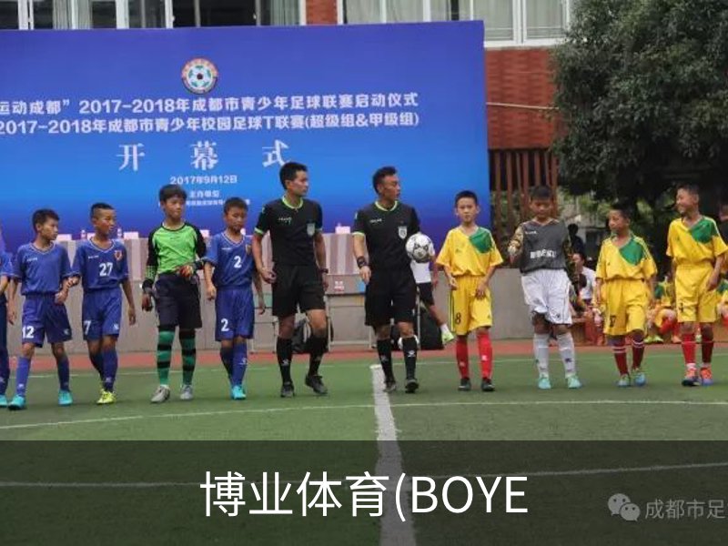 了解博业体育(BOYE